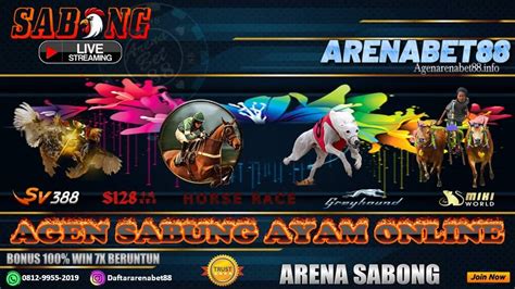 sabong arena|Sabong Arena.